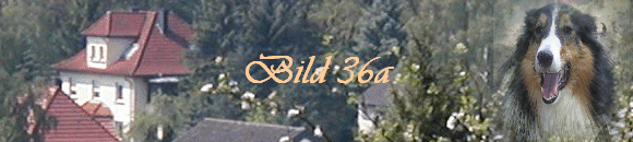 Bild 36a