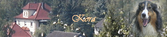 Kora