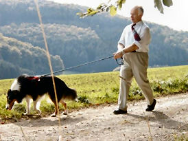 catie u michael vom winde verweht
