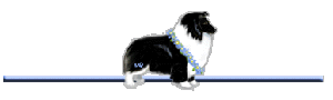collie