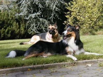 catie u effi auf dem rasen