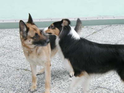 catie u effi flstern