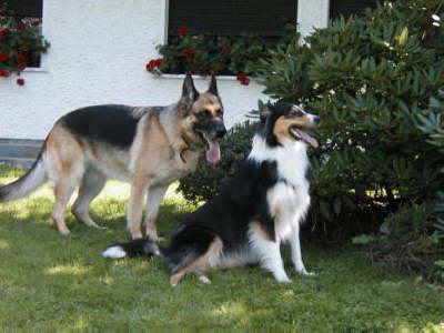 catie u effi im schatten