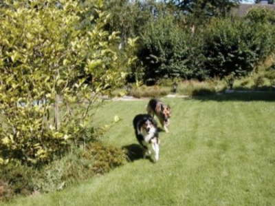 catie und effi spielen fangen